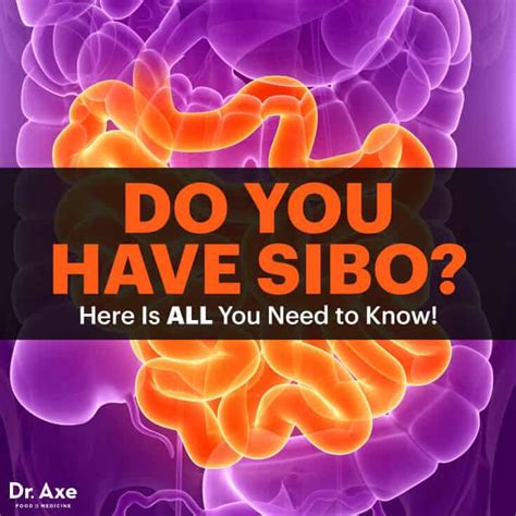 Identify Any Triggers in Your Diet 2. . How to treat sibo naturally dr axe